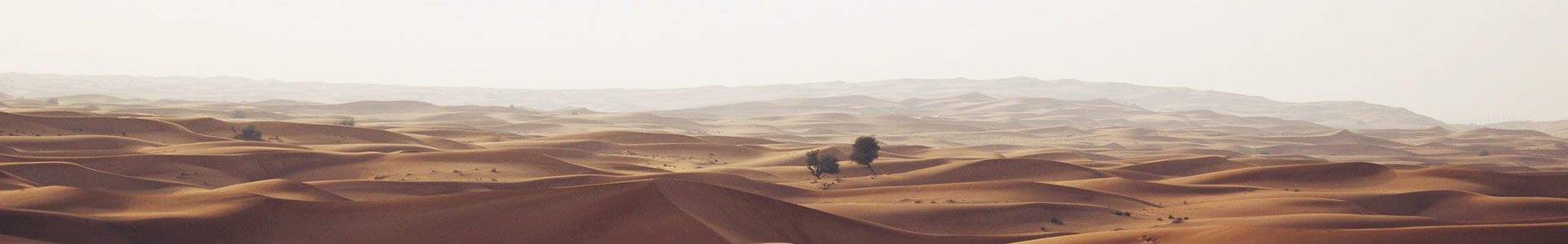 ̟Ƽ޹˾